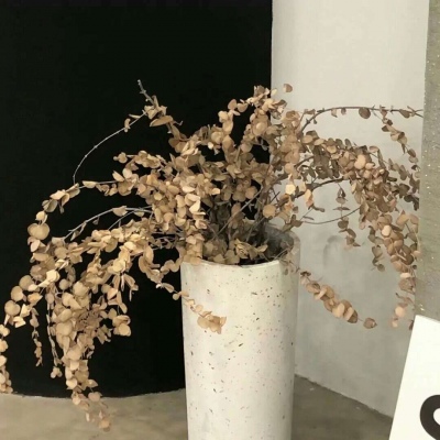 兽设天空场景设计福瑞交流群